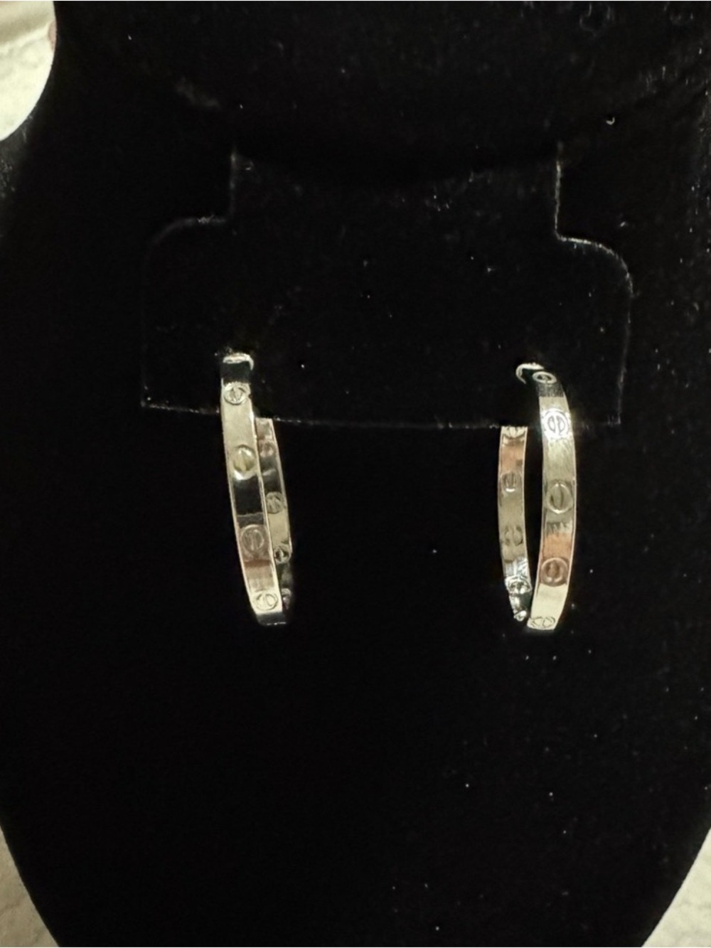 Elegant Silver Hoop Earrings